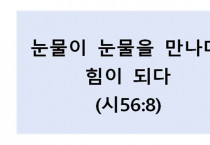 눈물이 눈물을 만나다,  힘이 되다