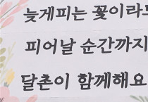 늦게 피는 꽃