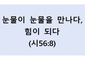 눈물이 눈물을 만나다,  힘이 되다