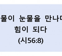 눈물이 눈물을 만나다,  힘이 되다