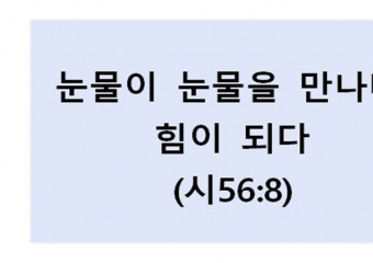 눈물이 눈물을 만나다,  힘이 되다